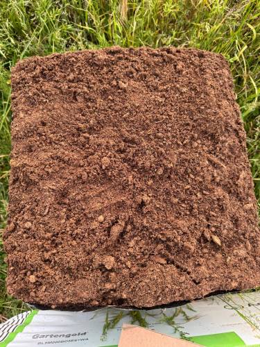 SPHAGNUM TORFU 10 LİTRE - 1